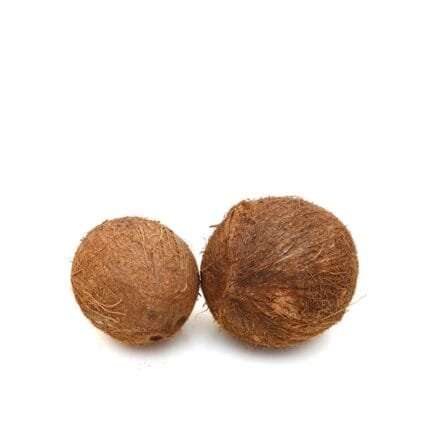 Coconut Hard