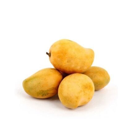 Mango Natti India