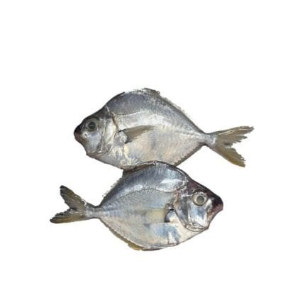 Mullan Fish Fresh